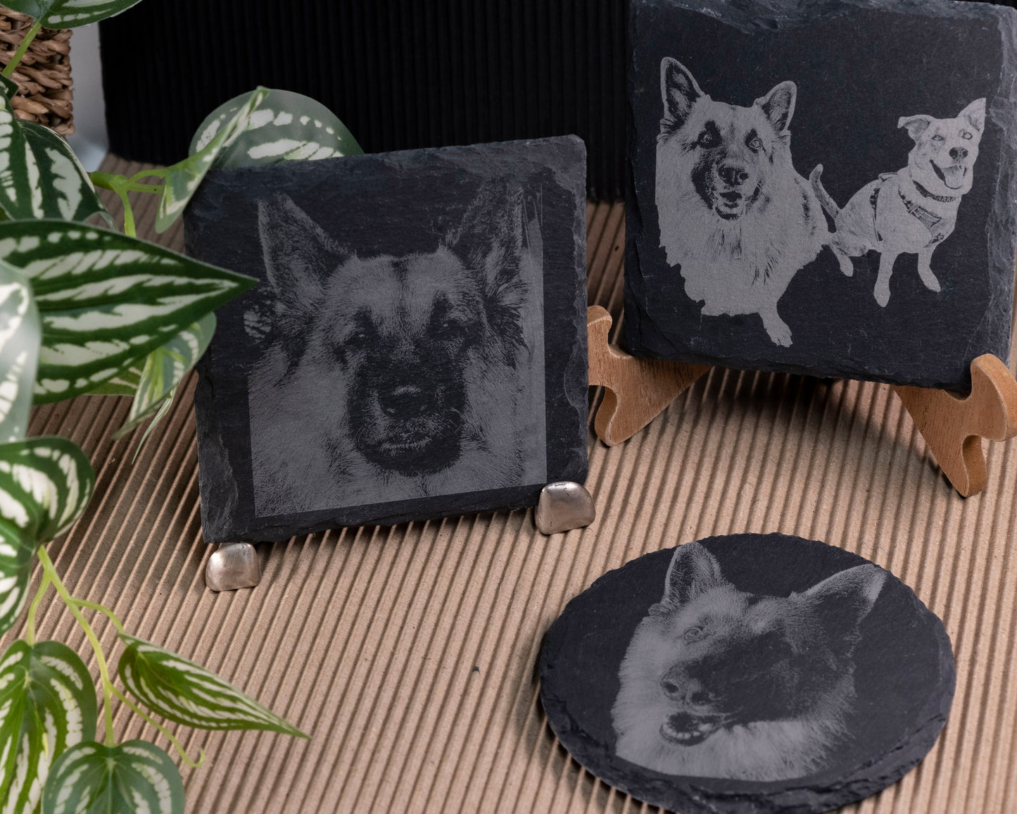 Slate coasters with dog photo engraved on a textured surface with plants.