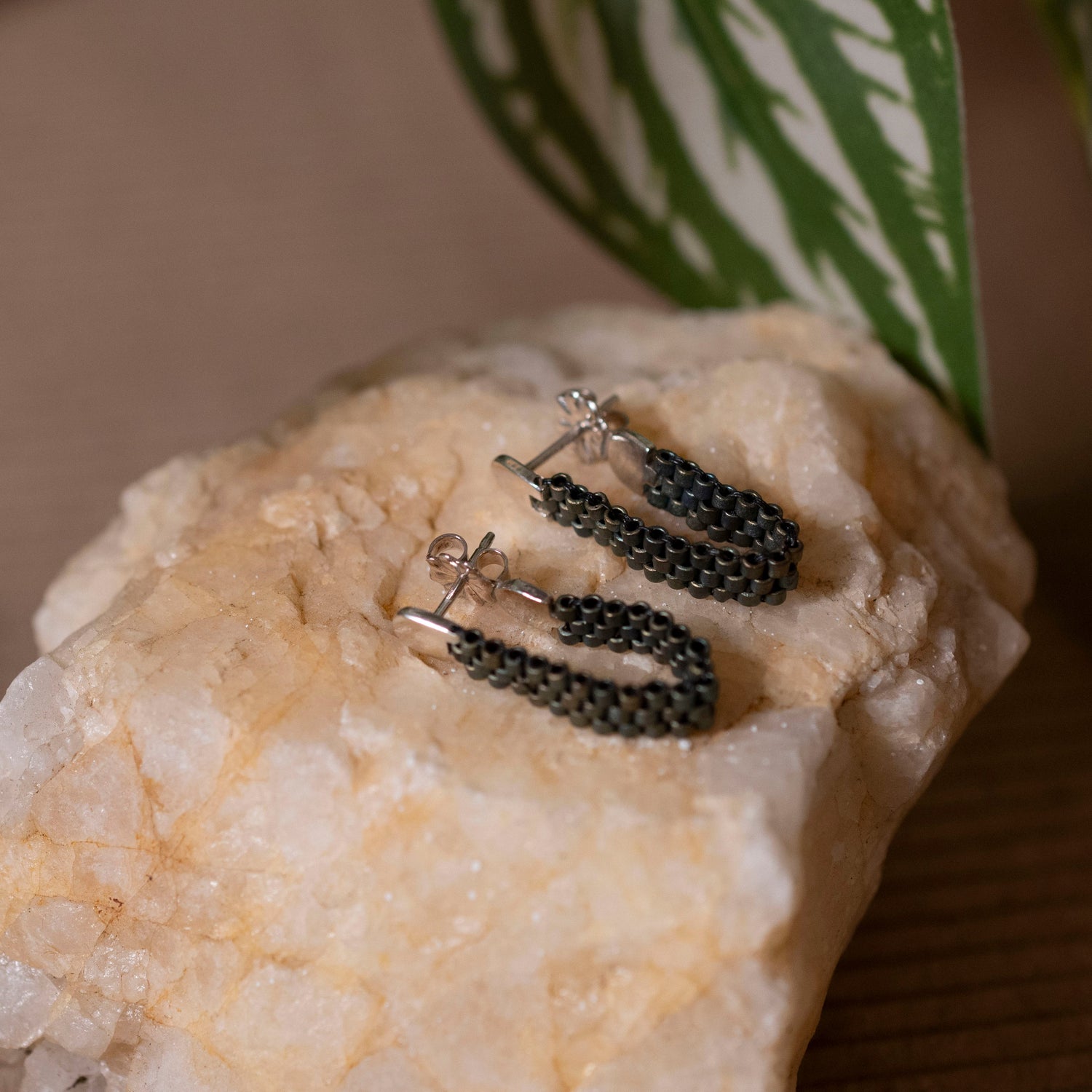 Earrings - HS