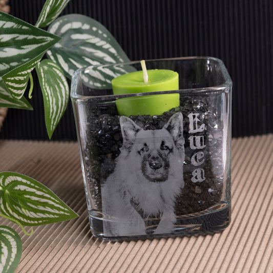 Glass bowl with engraved dog design 