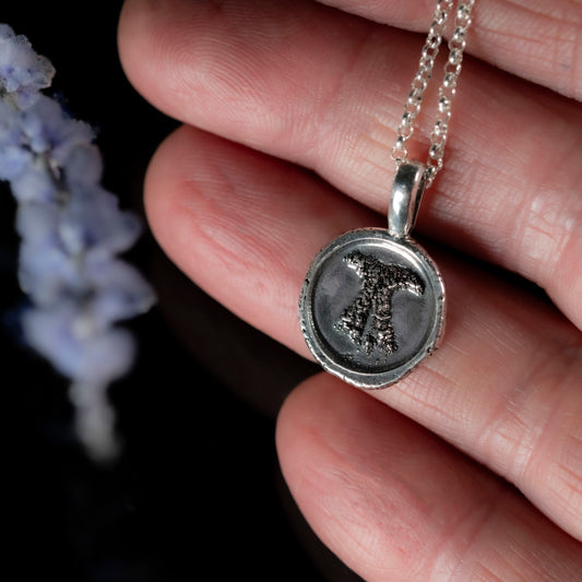 detail of Silver necklace with a pendant with pet nose imprint