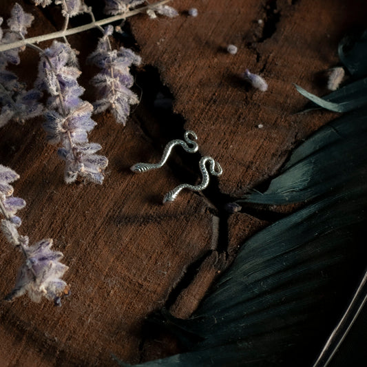 Close-up of the detailed silver snake stud earring