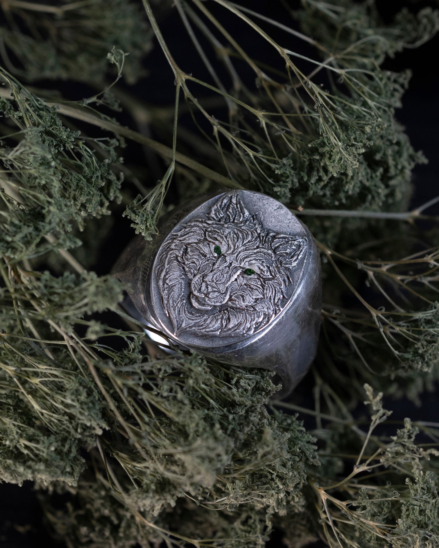 Wolfe Family Shield Signet Ring - Silver Wolf - Hebel Design