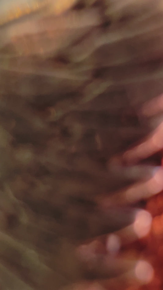 Odessa's Wing Necklace